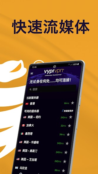 VyprVPN