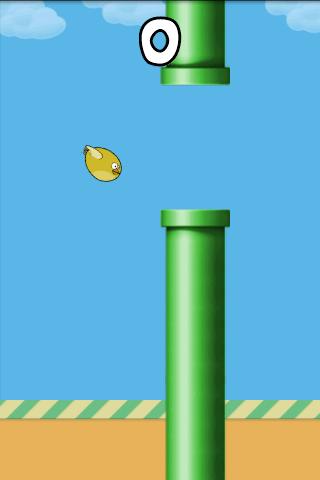 Fat Birds