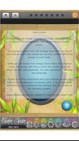 Chakra Balance System