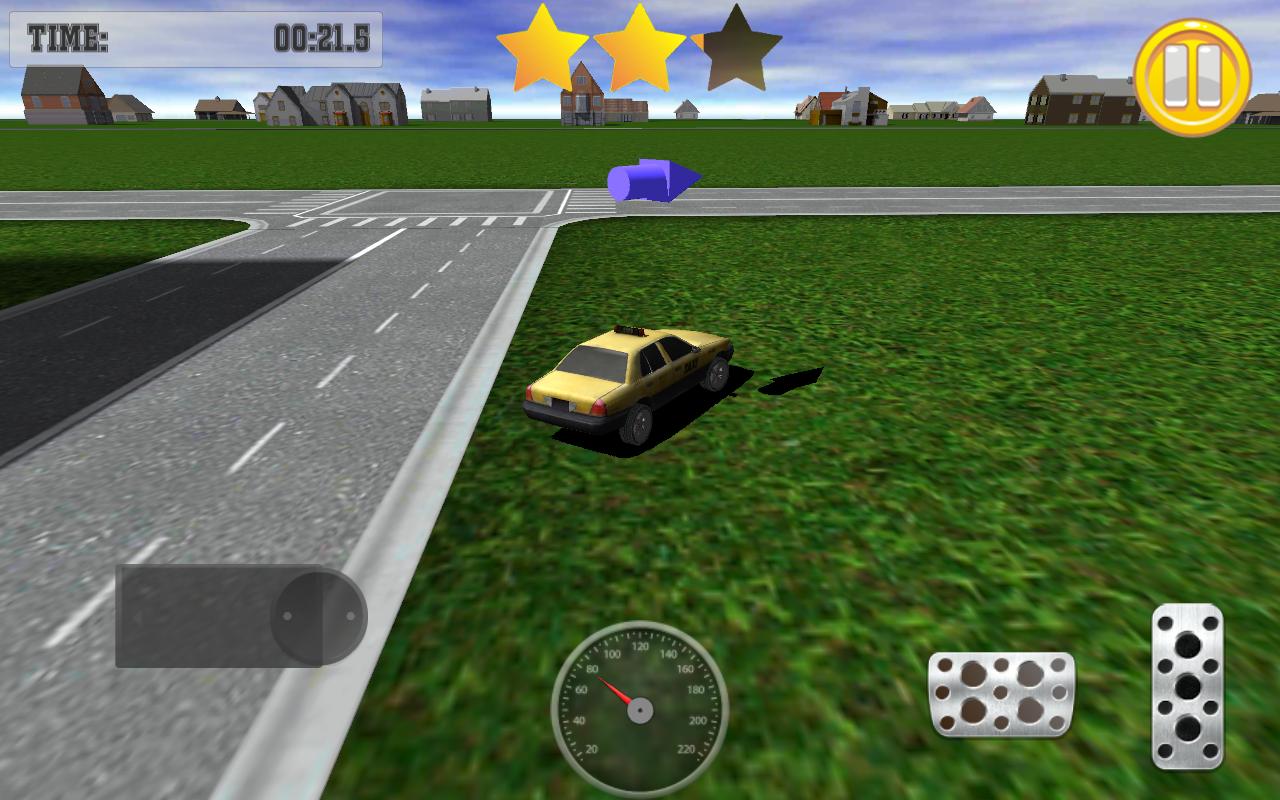 Real Taxi Driver