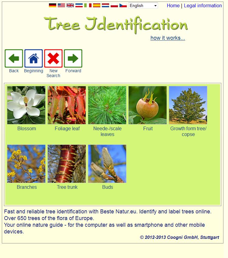 Tree identification