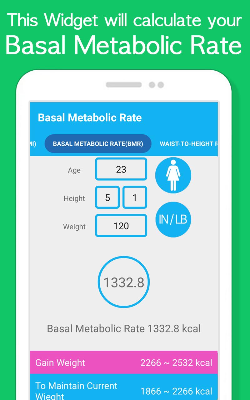 Fat Daddy Bear(BMI Calculator)