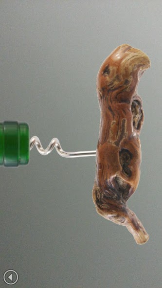 Corkscrew Master